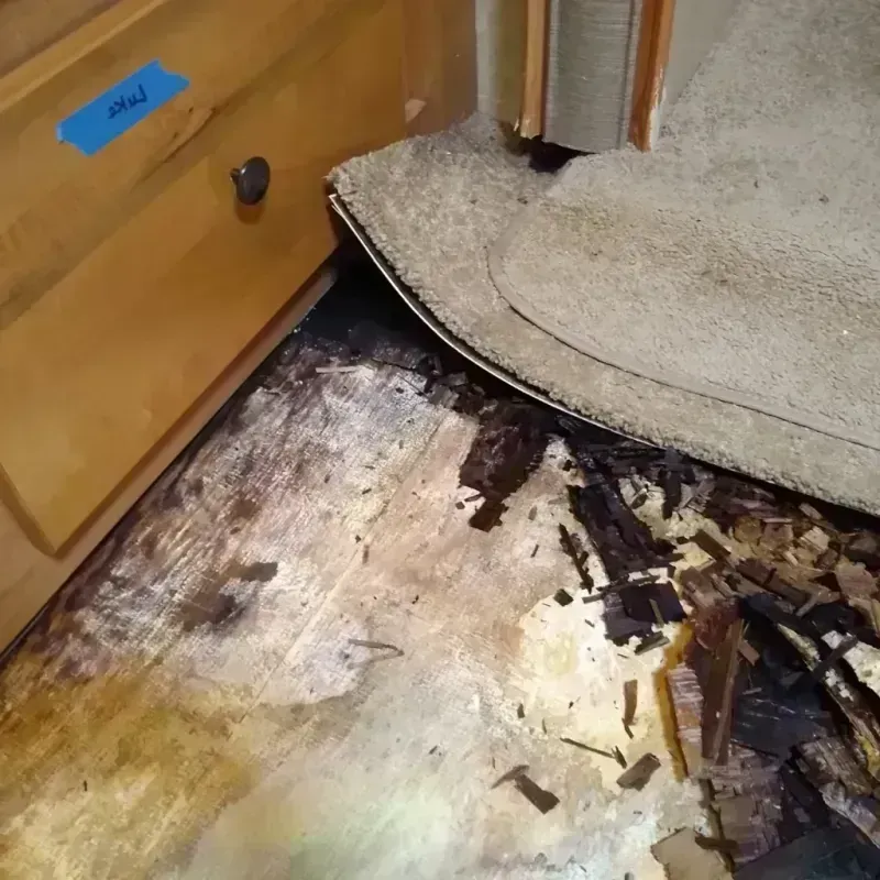 Wood Floor Water Damage in Stafford County, KS